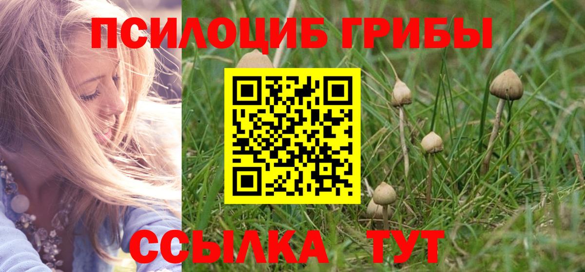 Галлюциногенные грибы Magic Shrooms  Вход с VPN  Псилоцибиновые грибы мицелий  Дятьково 