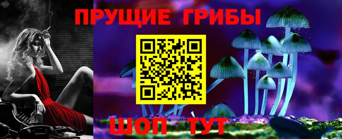 Галлюциногенные грибы прущие грибы Дятьково
